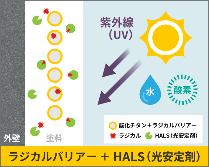 ラジカルバリアー+HALS(光安定剤)